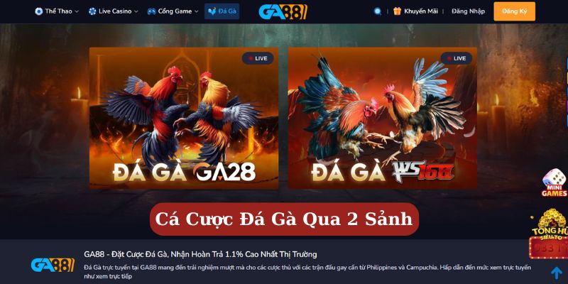 Ga88